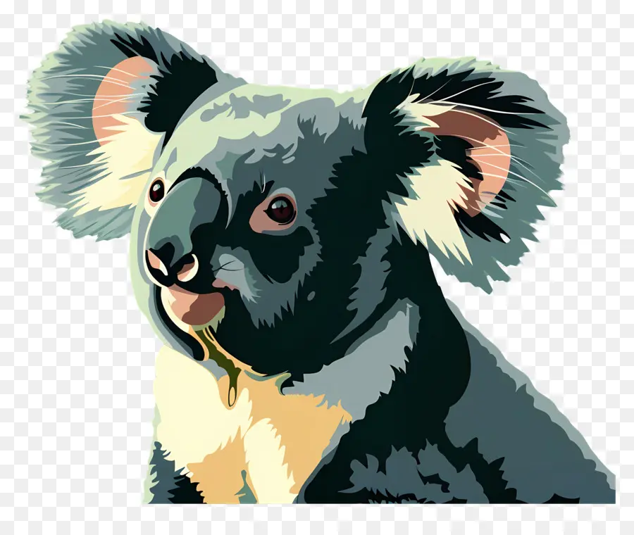 Koala，Koala Bear PNG