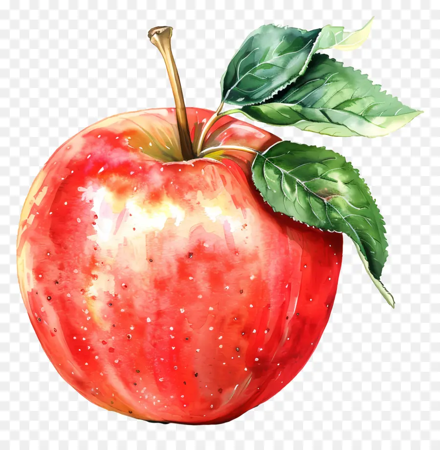 Apple，Pintura De Manzana PNG