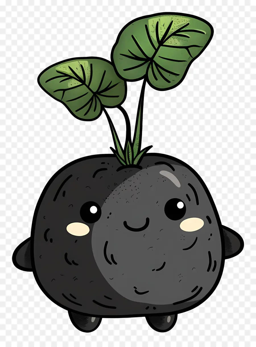 Taro，Planta PNG