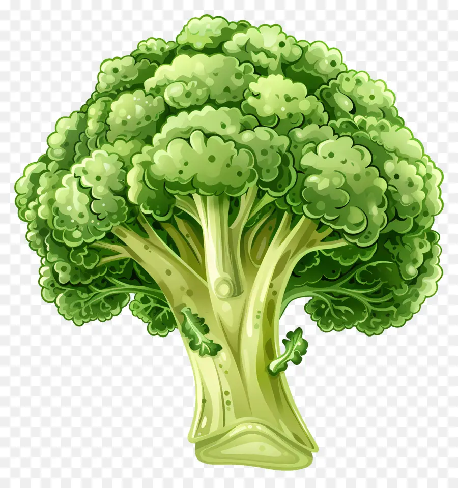 Brócoli，Planta De Brócoli PNG