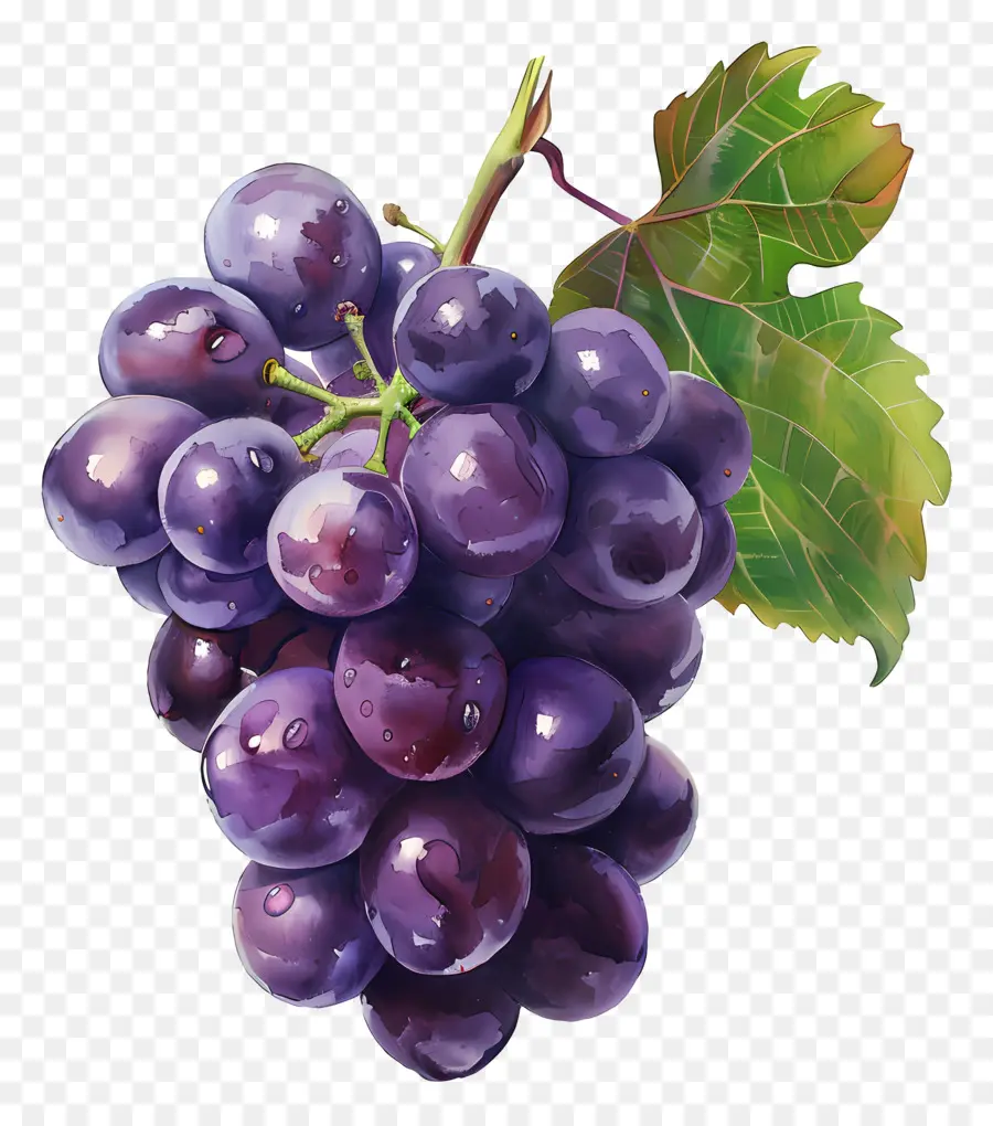 Las Uvas，Morado PNG