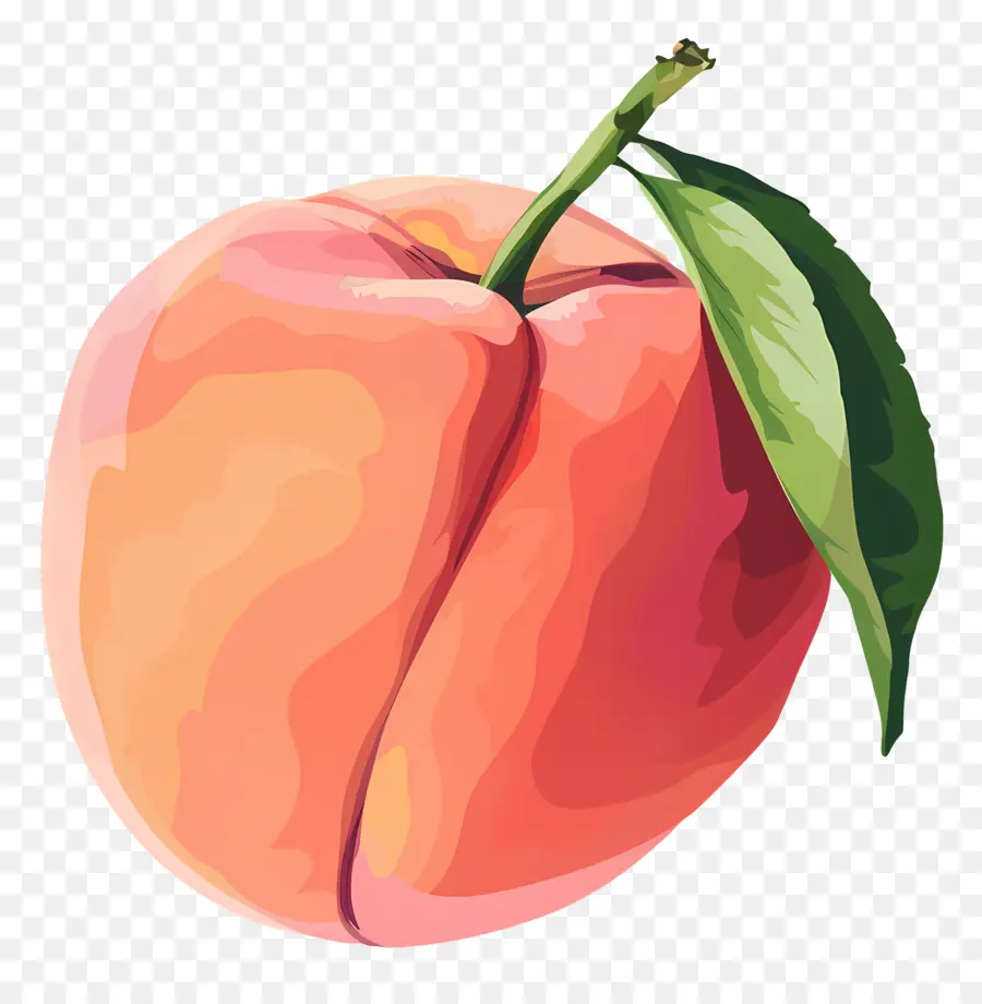 Melocotón，Apple PNG