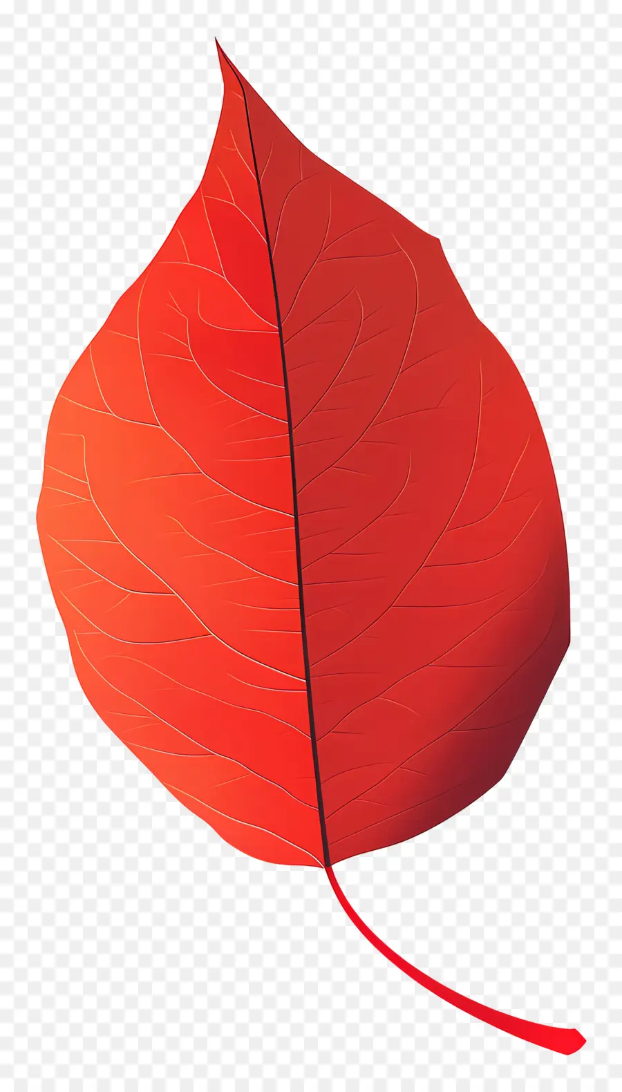 Hoja Roja，Forma Oval PNG