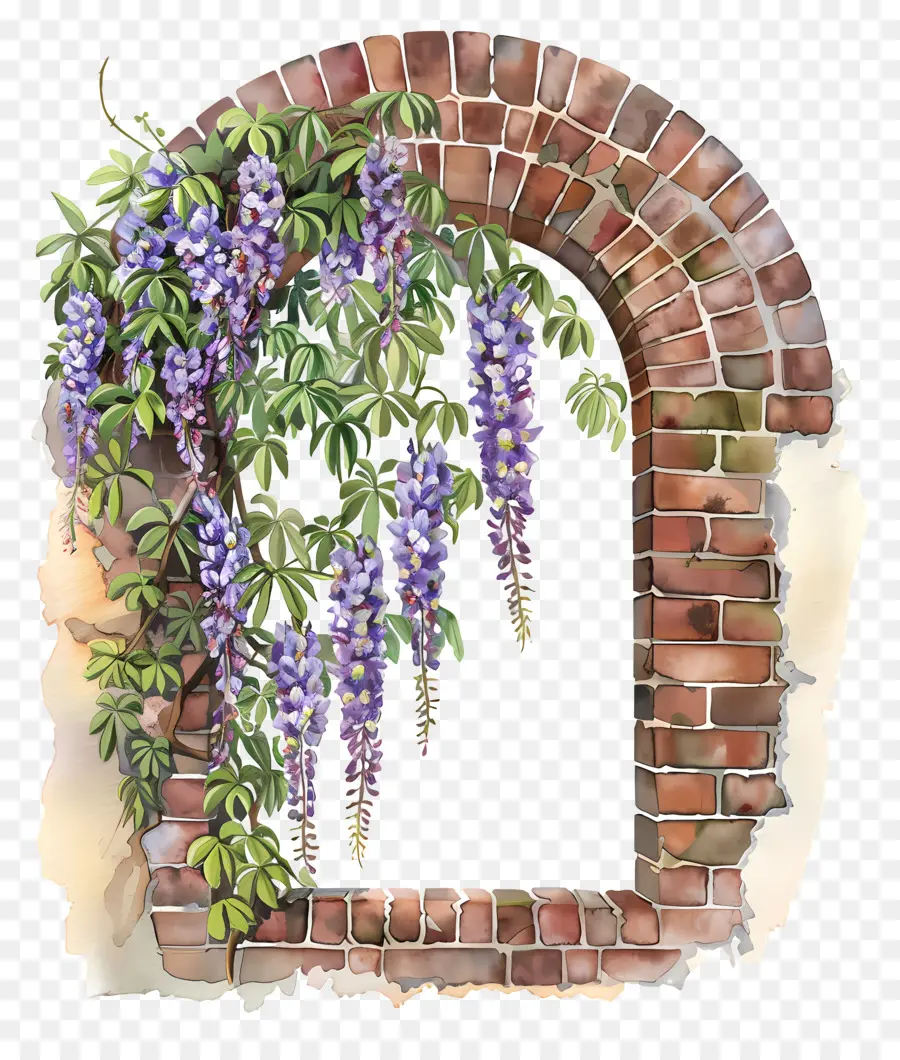 Glicinia Colgante，Acuarela De Wisteria PNG