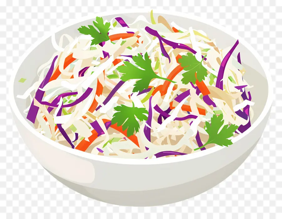 La Ensalada De Col，Receta PNG