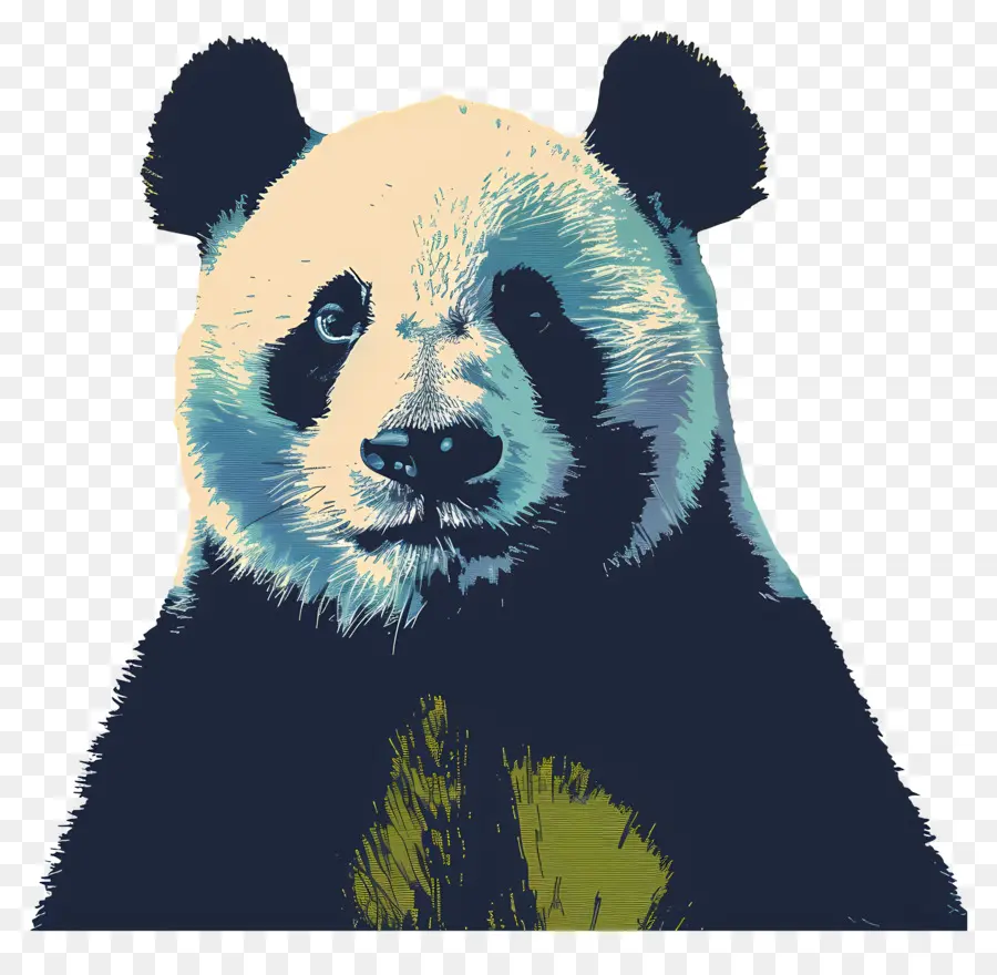 Panda，Oso PNG