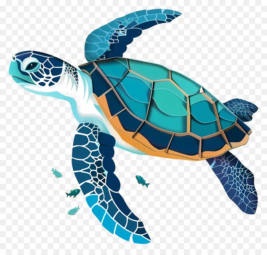 Tortuga De Mar，Tortuga PNG