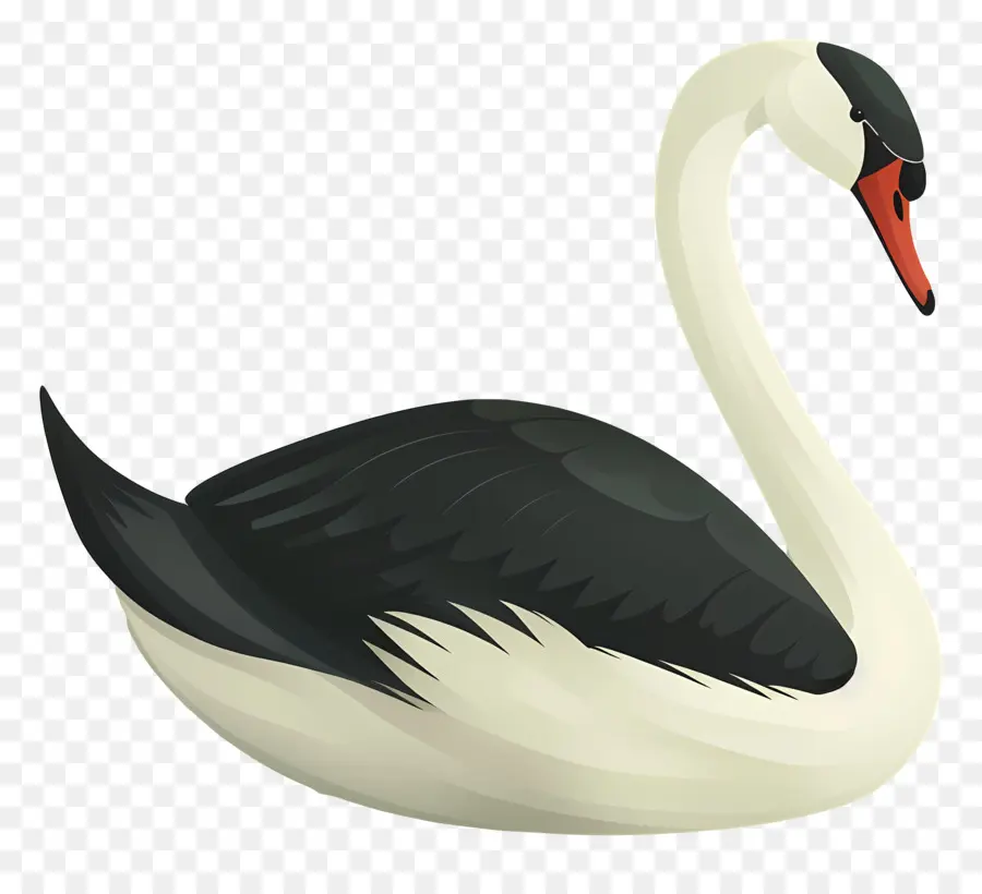 Swan，Las Aves Acuáticas PNG