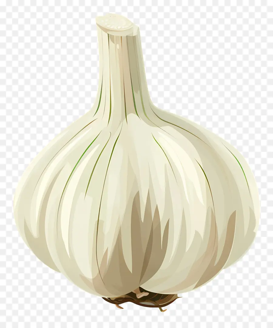 Ajo，Cebolla Blanca PNG