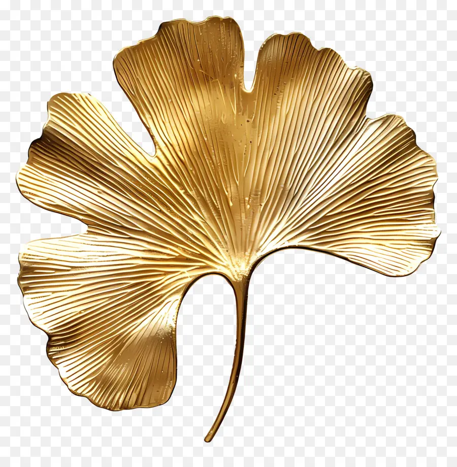 Gold Ginkgo Hoja，Hoja PNG