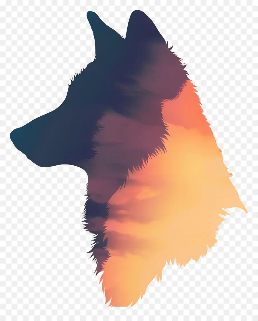 Lobo Silueta，Lobo PNG