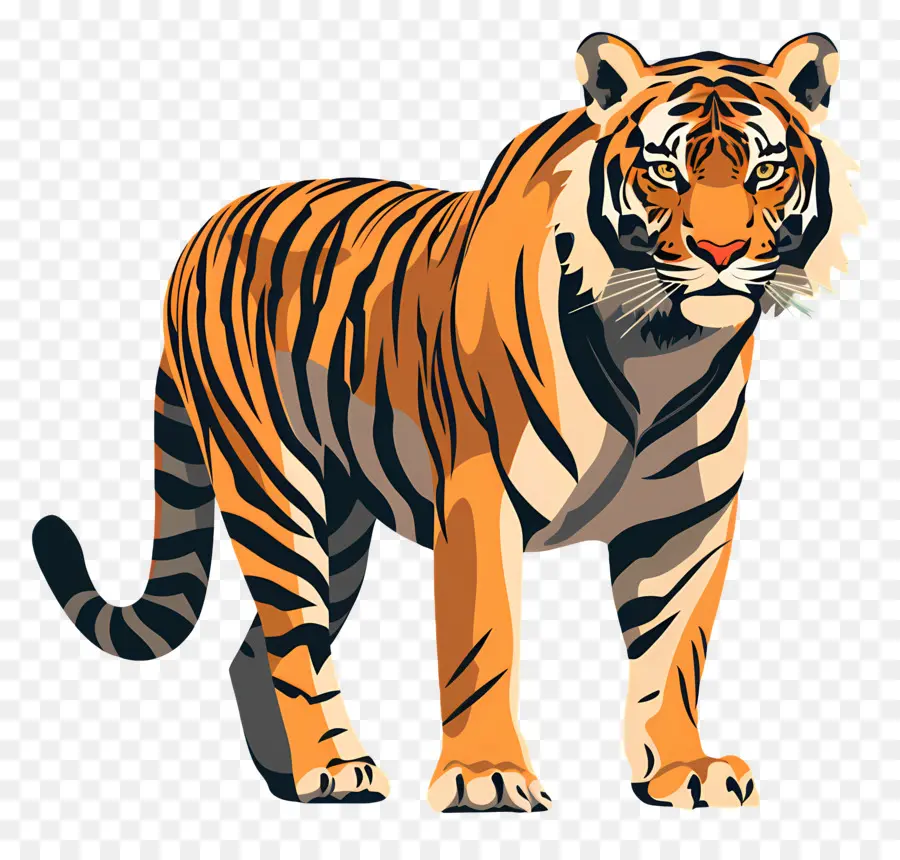 Tigre，La Vida Silvestre PNG