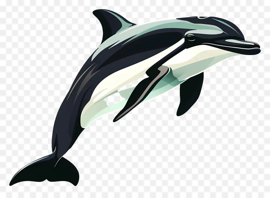 Delfín，Orca PNG