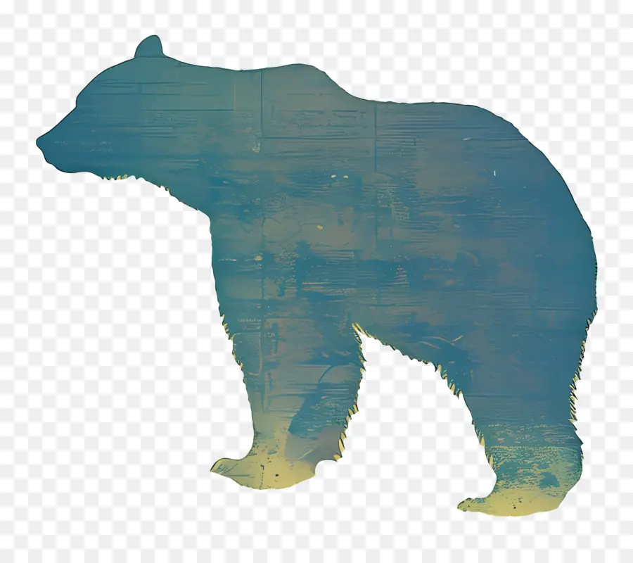 Oso，El Oso Negro PNG