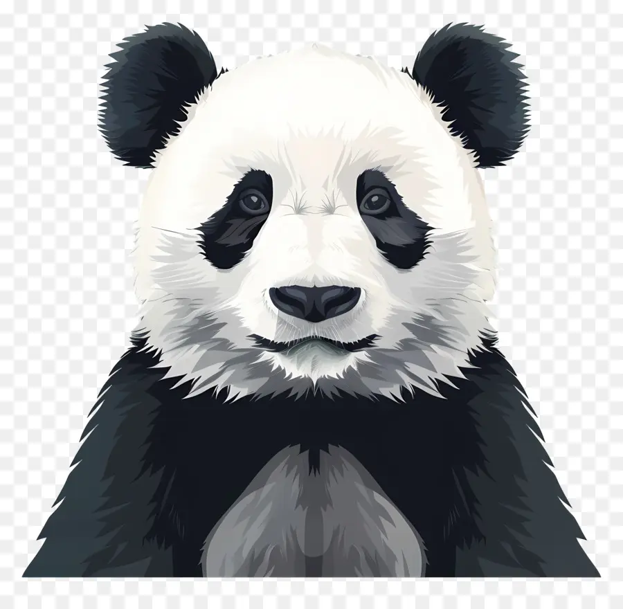 Panda，Oso Panda PNG