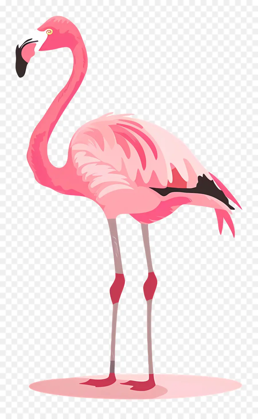Flamingo Silueta，Flamingo PNG