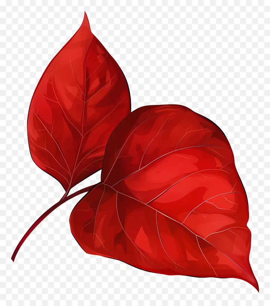 Hoja Roja，Otoño PNG