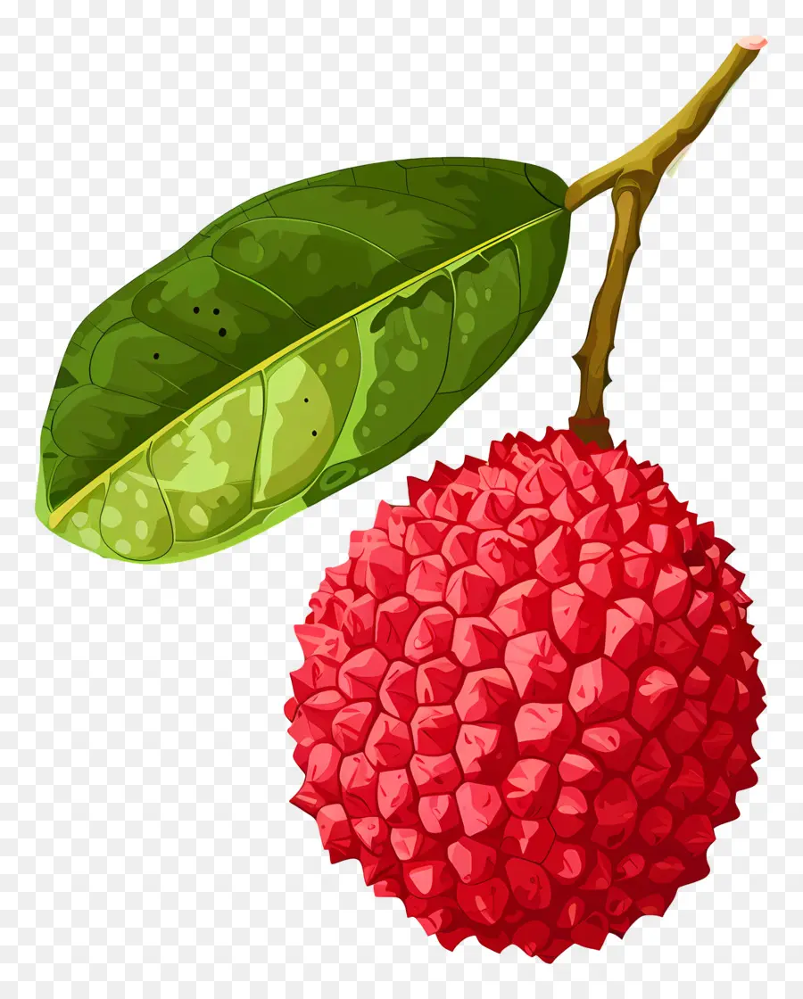 Lichi，Dragonfruit PNG