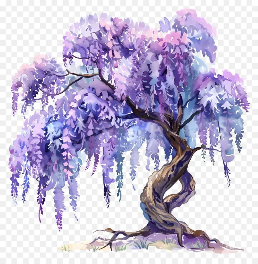 Wisteria árbol，Acuarela De Wisteria PNG