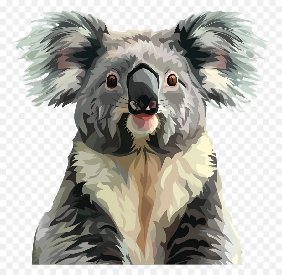 Koala，Koala Bear PNG