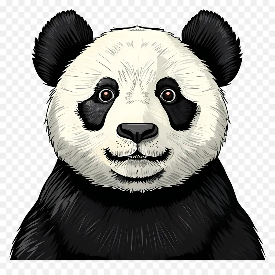 Panda，Oso PNG