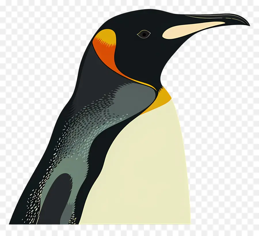 Pingüino，En Blanco Y Negro PNG