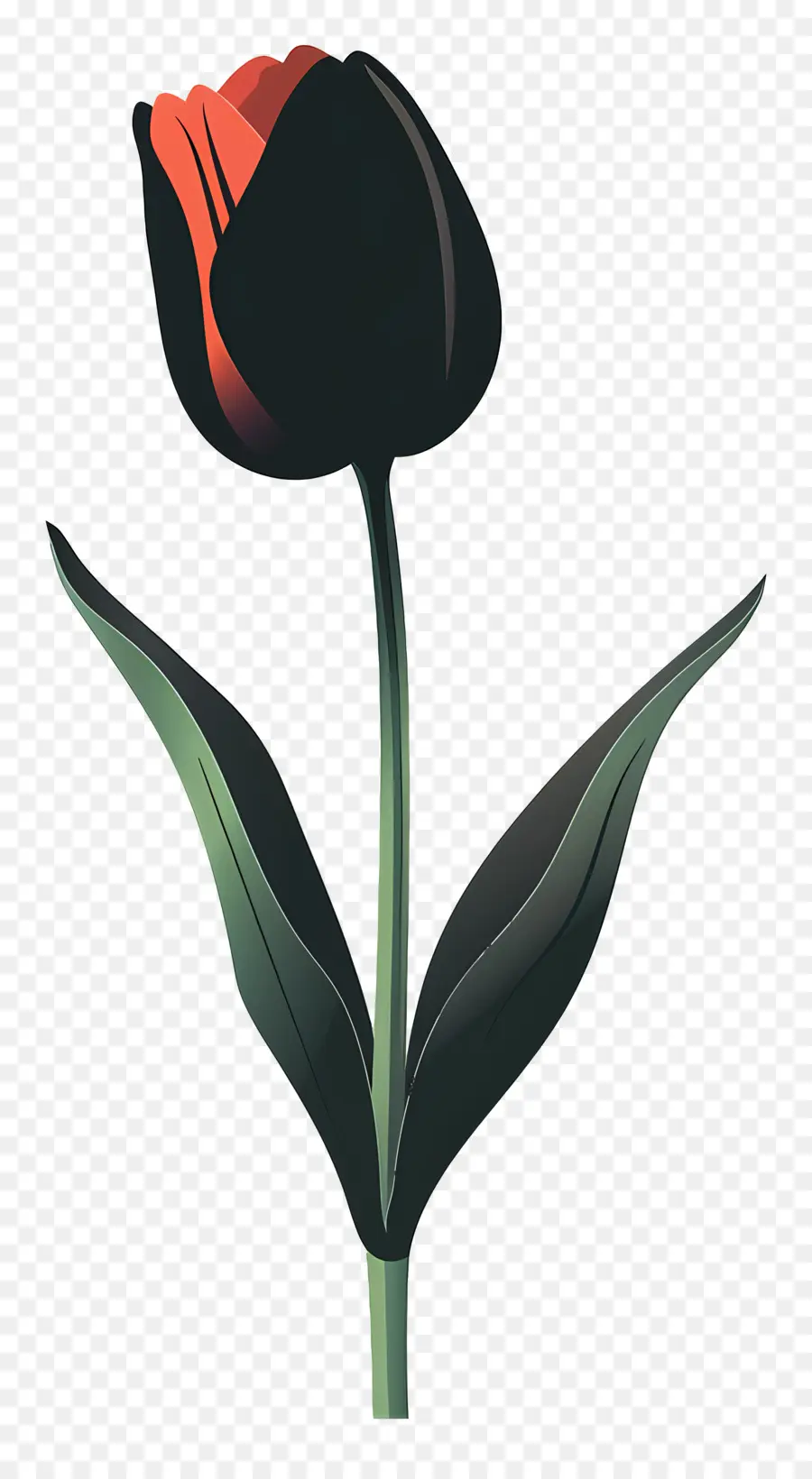Los Tulipanes，Tulipa Roja PNG