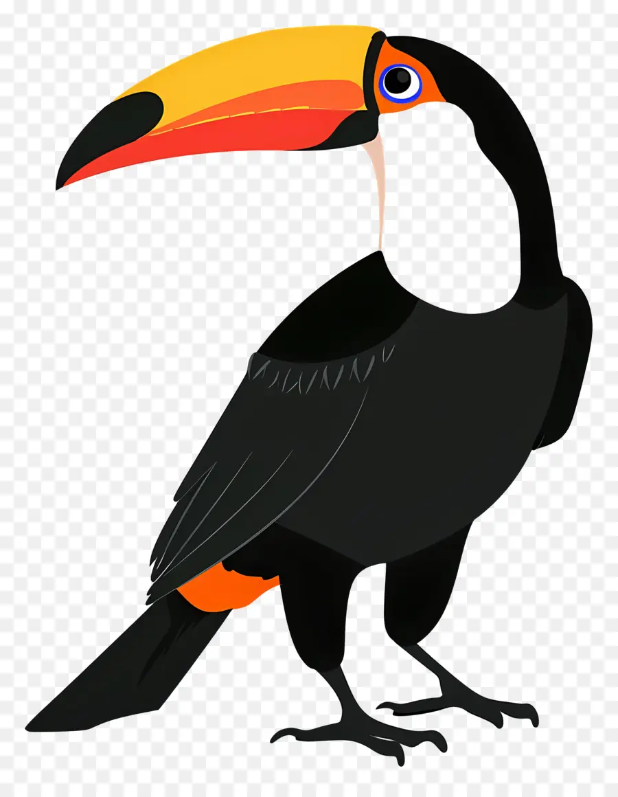 Tucán，Aves PNG