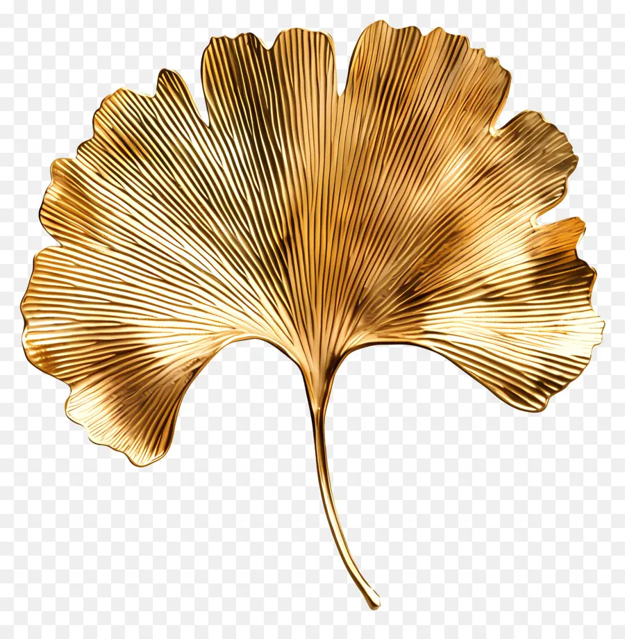 Gold Ginkgo Hoja，La Hoja De Oro PNG