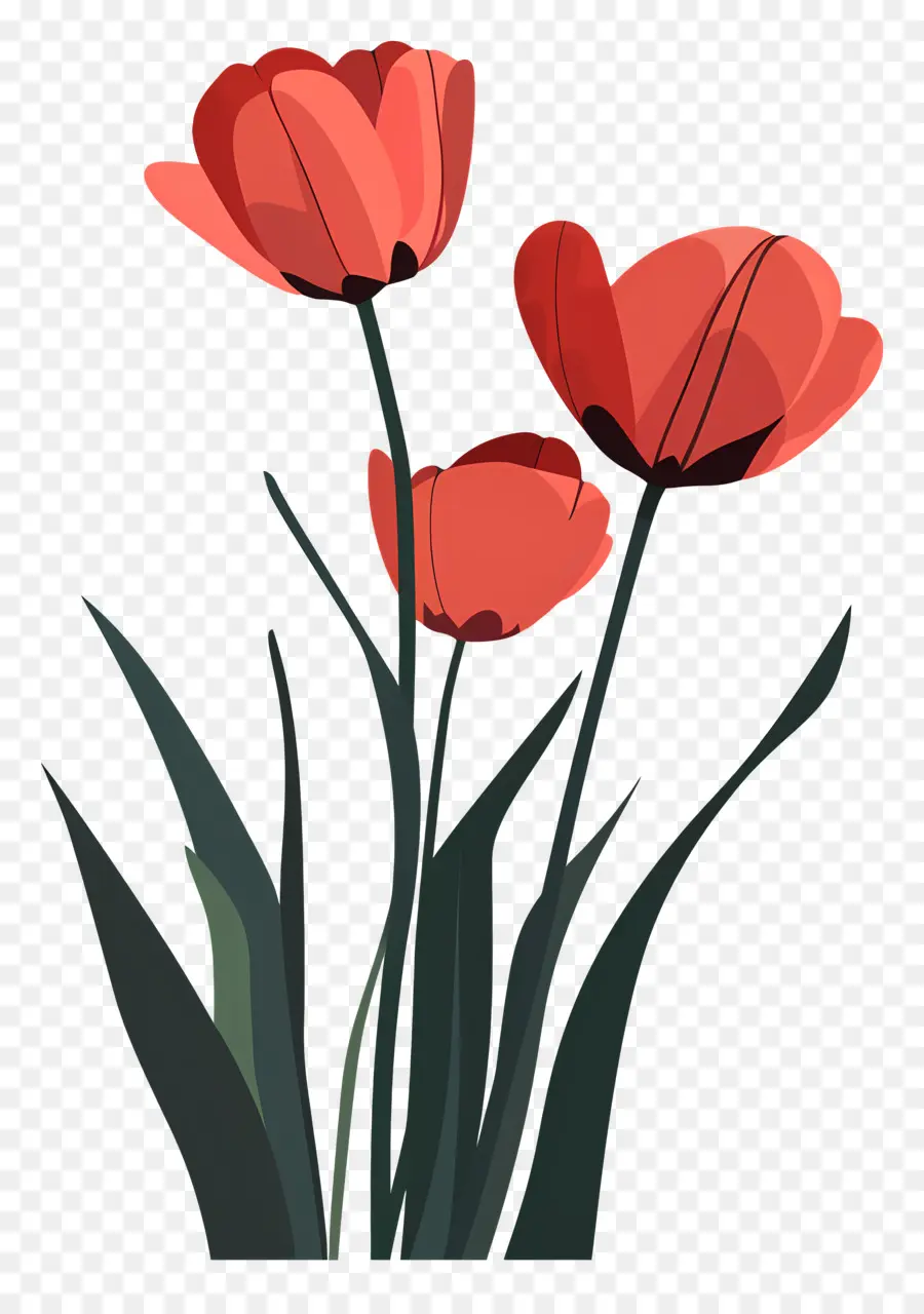 Los Tulipanes，Tulipanes Rojos PNG