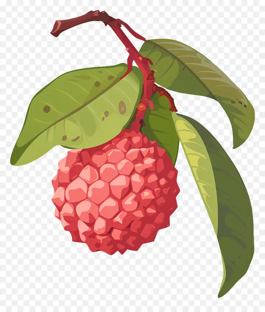 Lichi，Rosa De La Fruta PNG