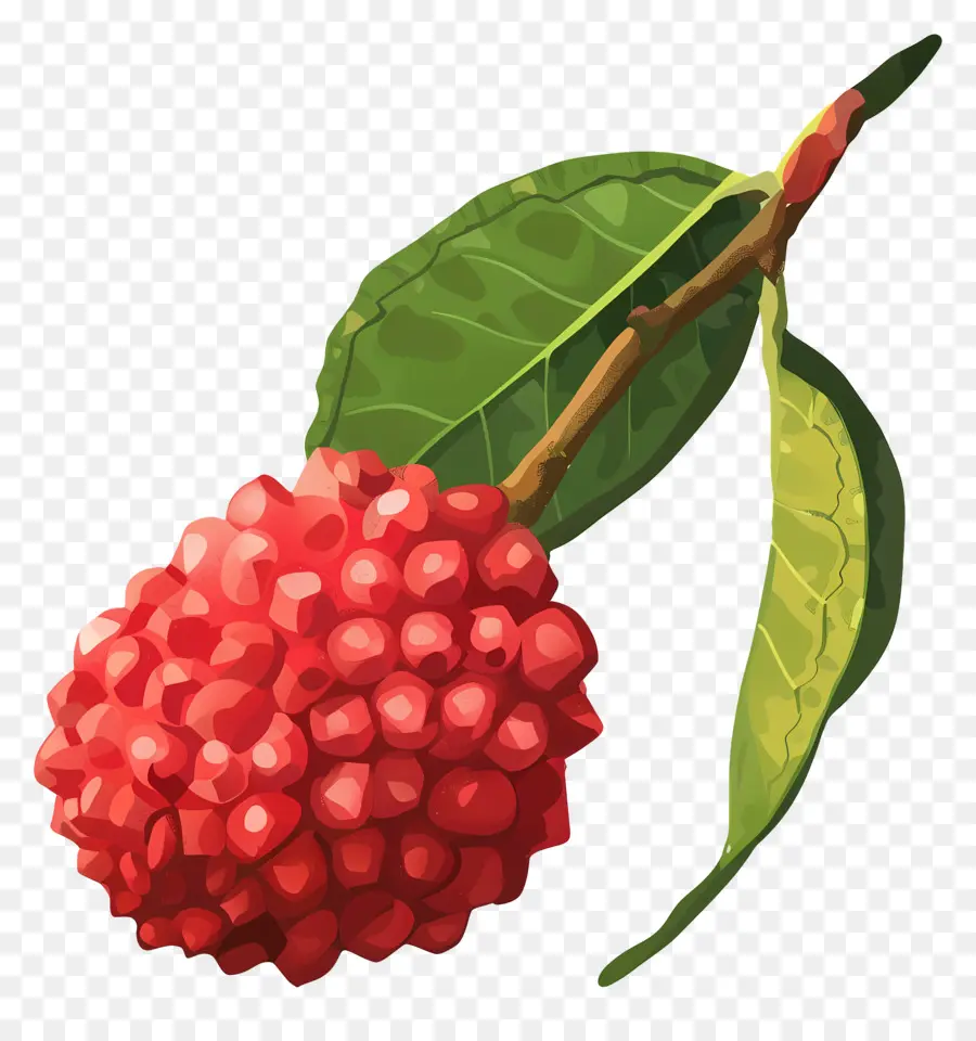 Lichi，De Frutos Rojos PNG