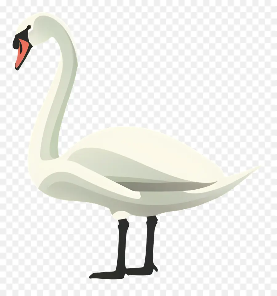 Swan，Aves PNG