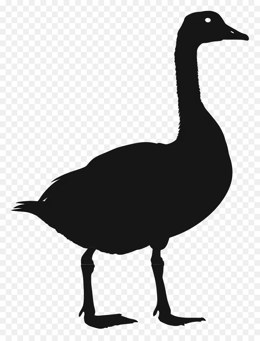 Silueta De Ganso，Pato PNG