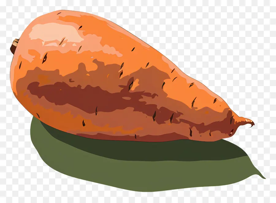 Dulce De Batata，Zanahoria PNG