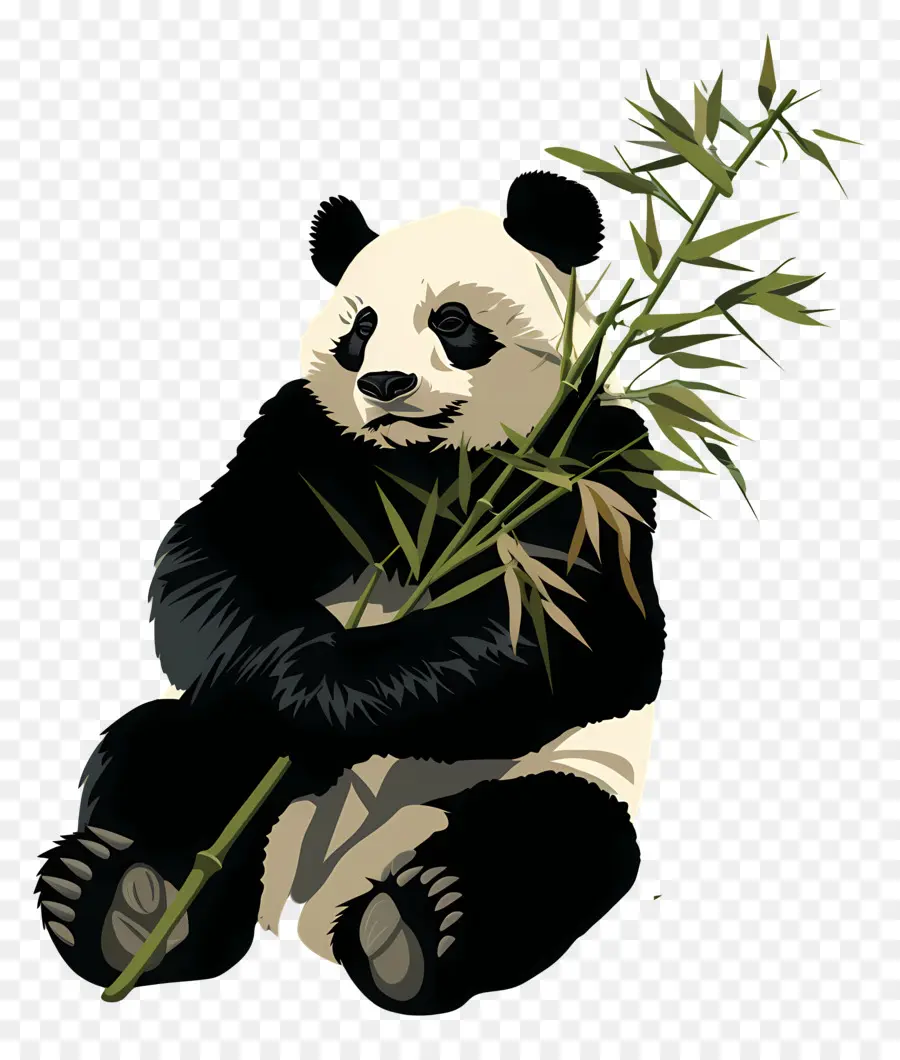 Panda，Oso Panda PNG