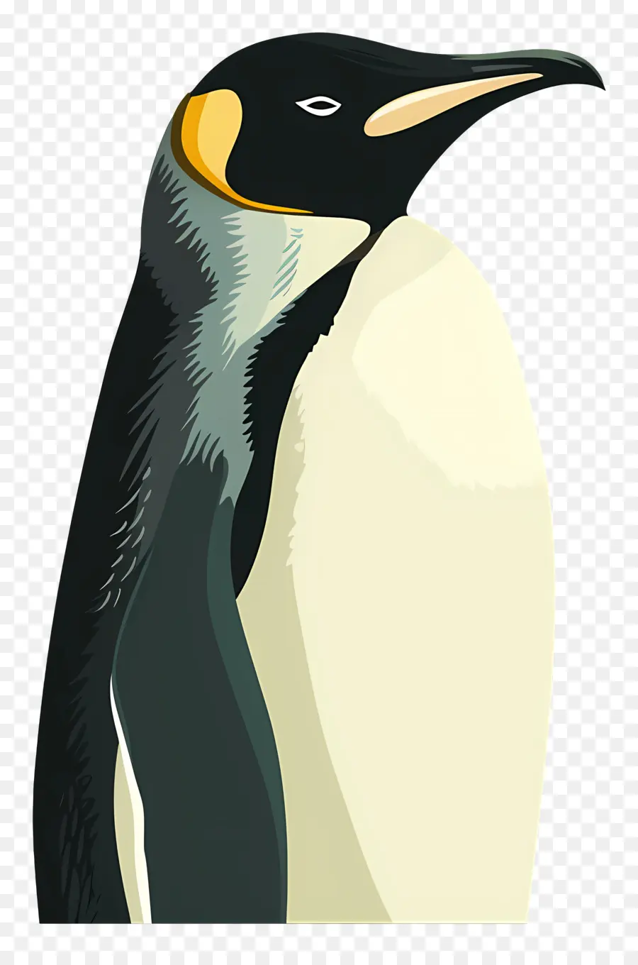 Pingüino，Pingüino Sorprendido PNG
