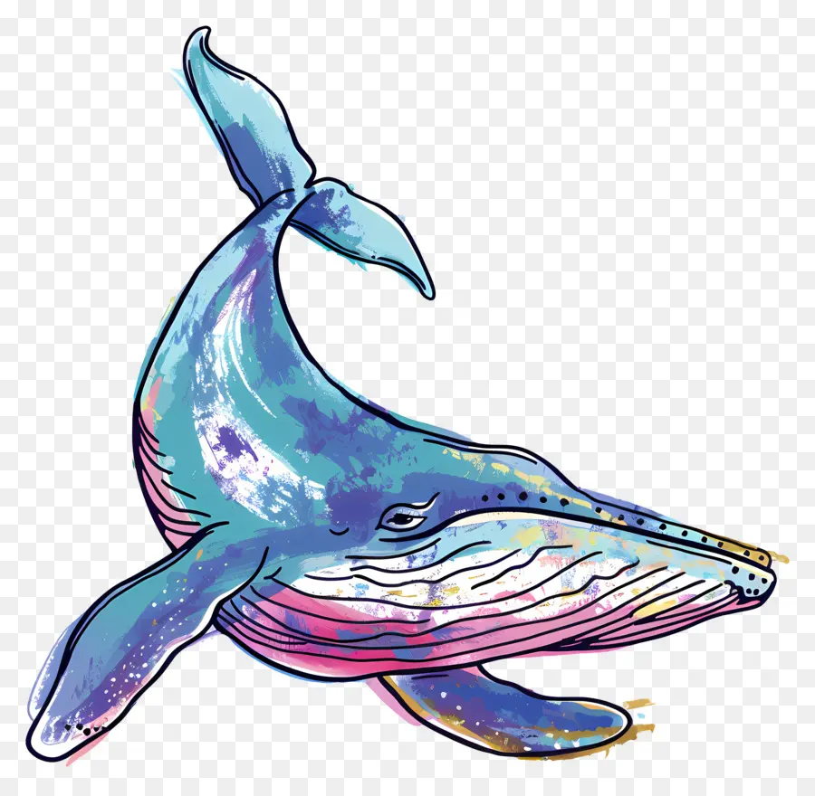 Ballena Azul，Ballena PNG