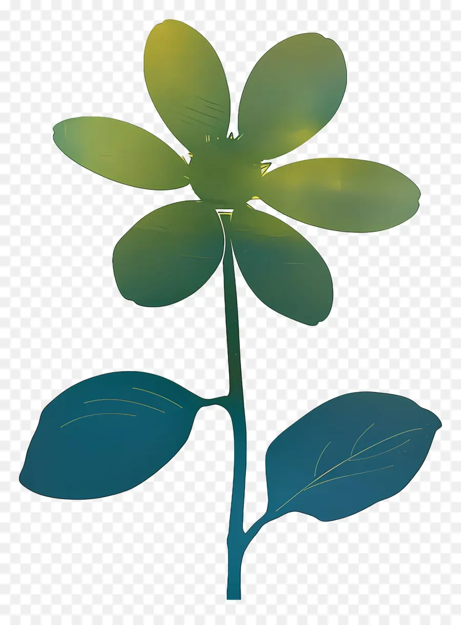 Flor，Flor Azul PNG