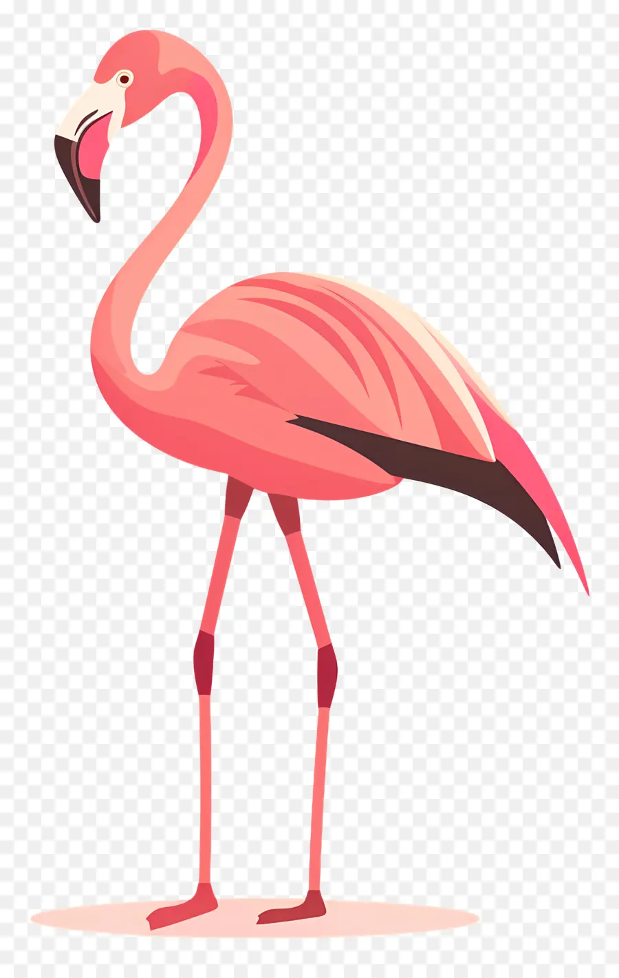 Flamingo Silueta，Flamenco Rosado PNG
