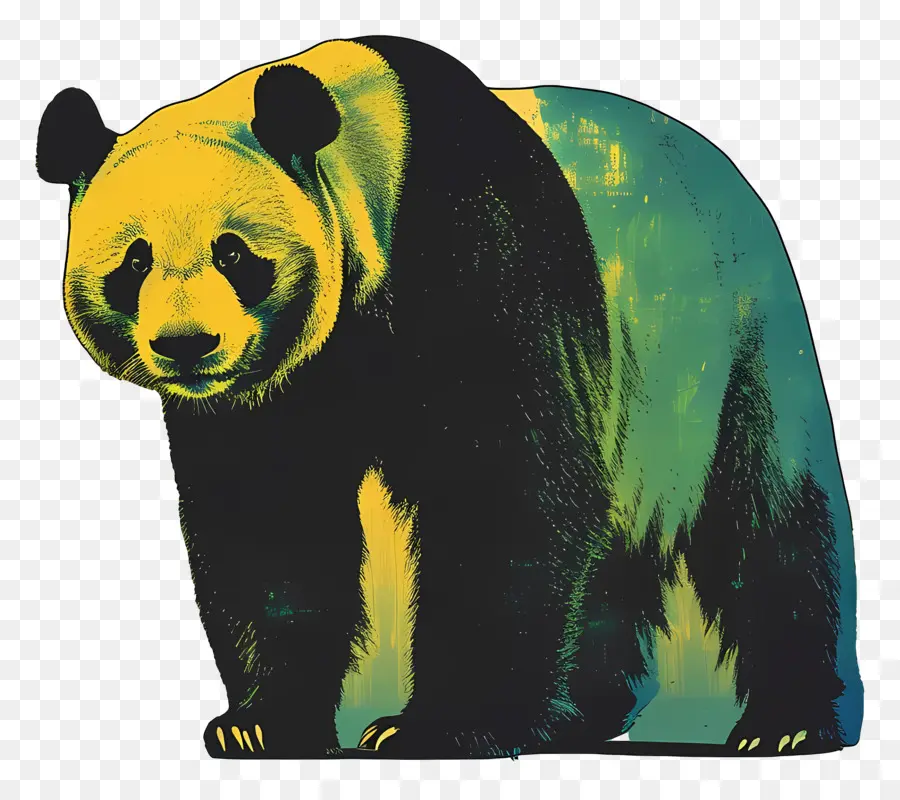 Panda，Oso PNG