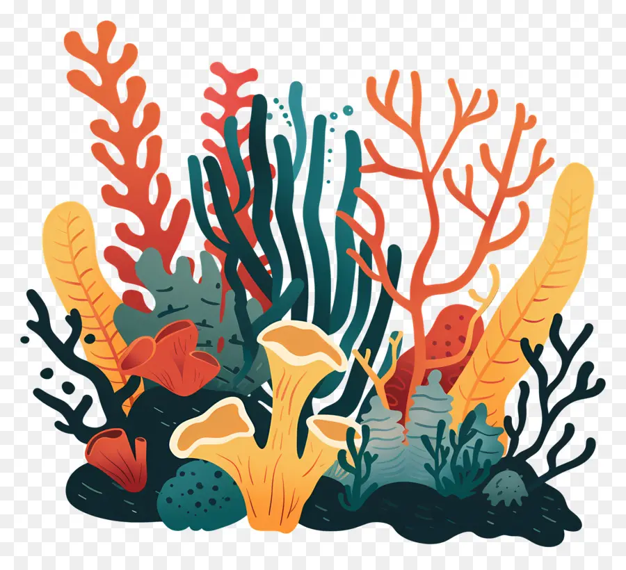 Arrecife De Coral，Las Plantas Acuáticas PNG