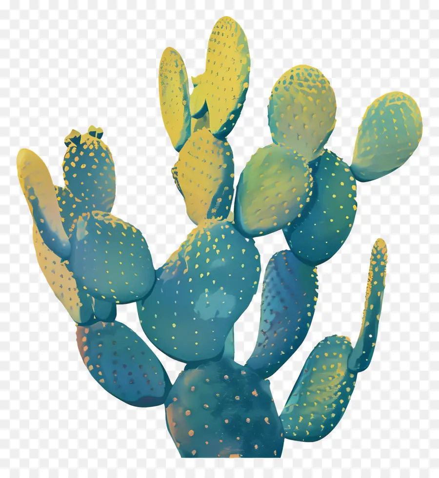 Cactus，Suculentas PNG