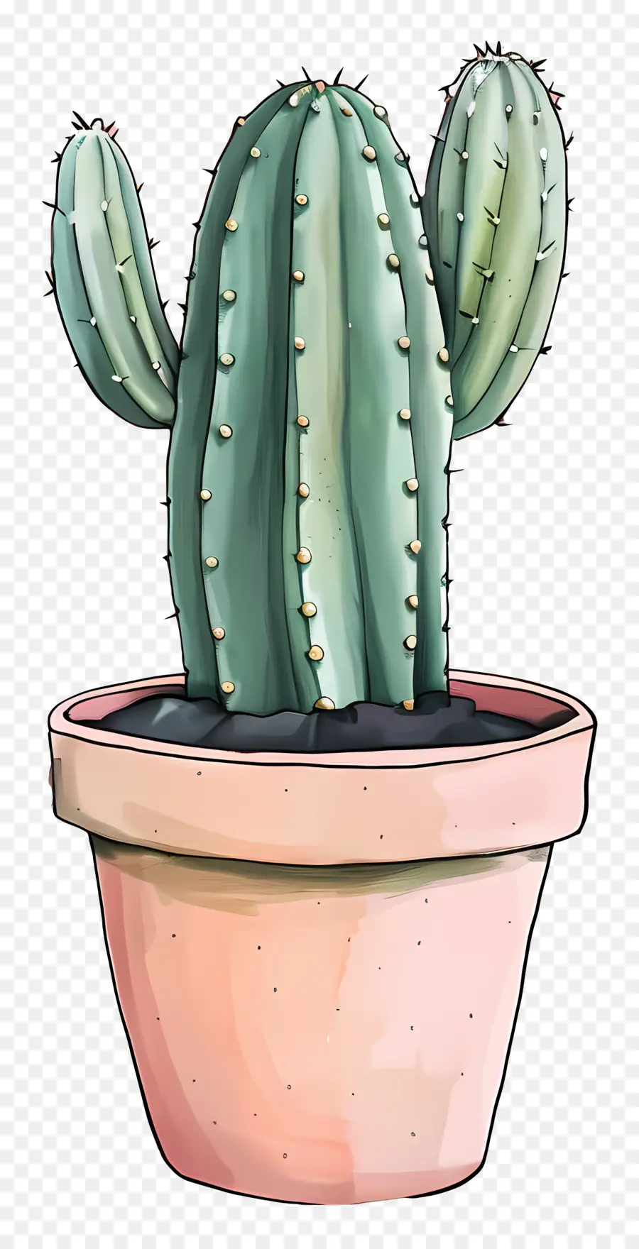 Cactus，Planta De Cactus PNG