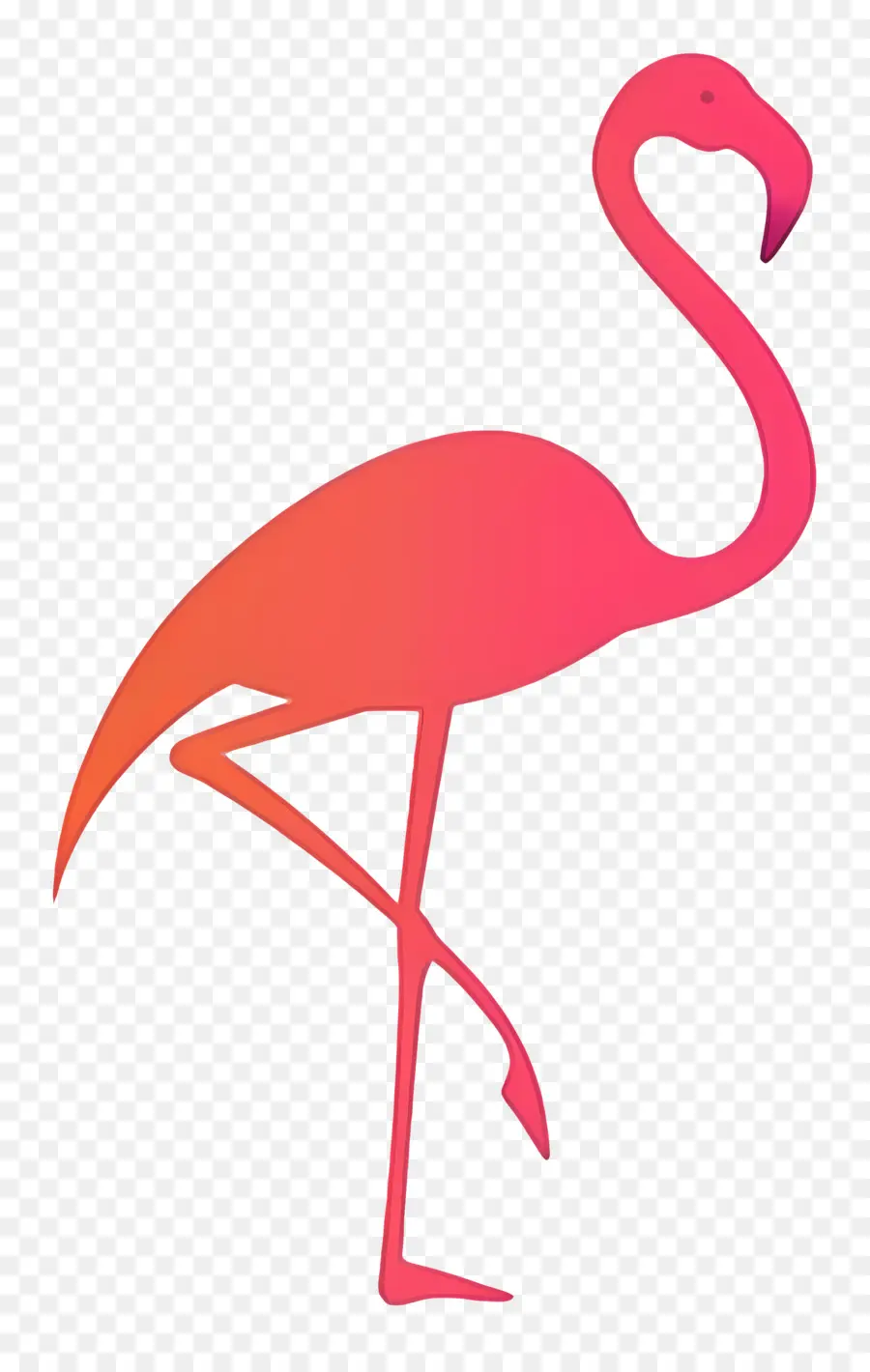 Flamingo Silueta，Flamenco Rosado PNG