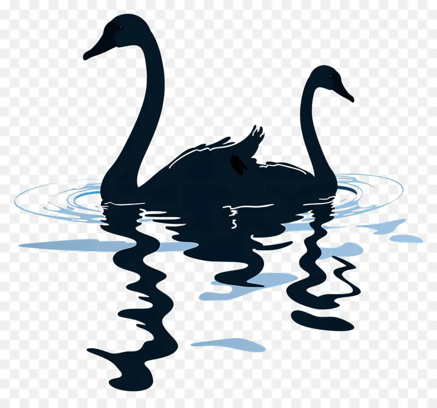 Silueta De Cisne，Cisnes PNG