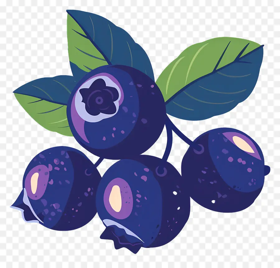 Arándanos，La Fruta PNG