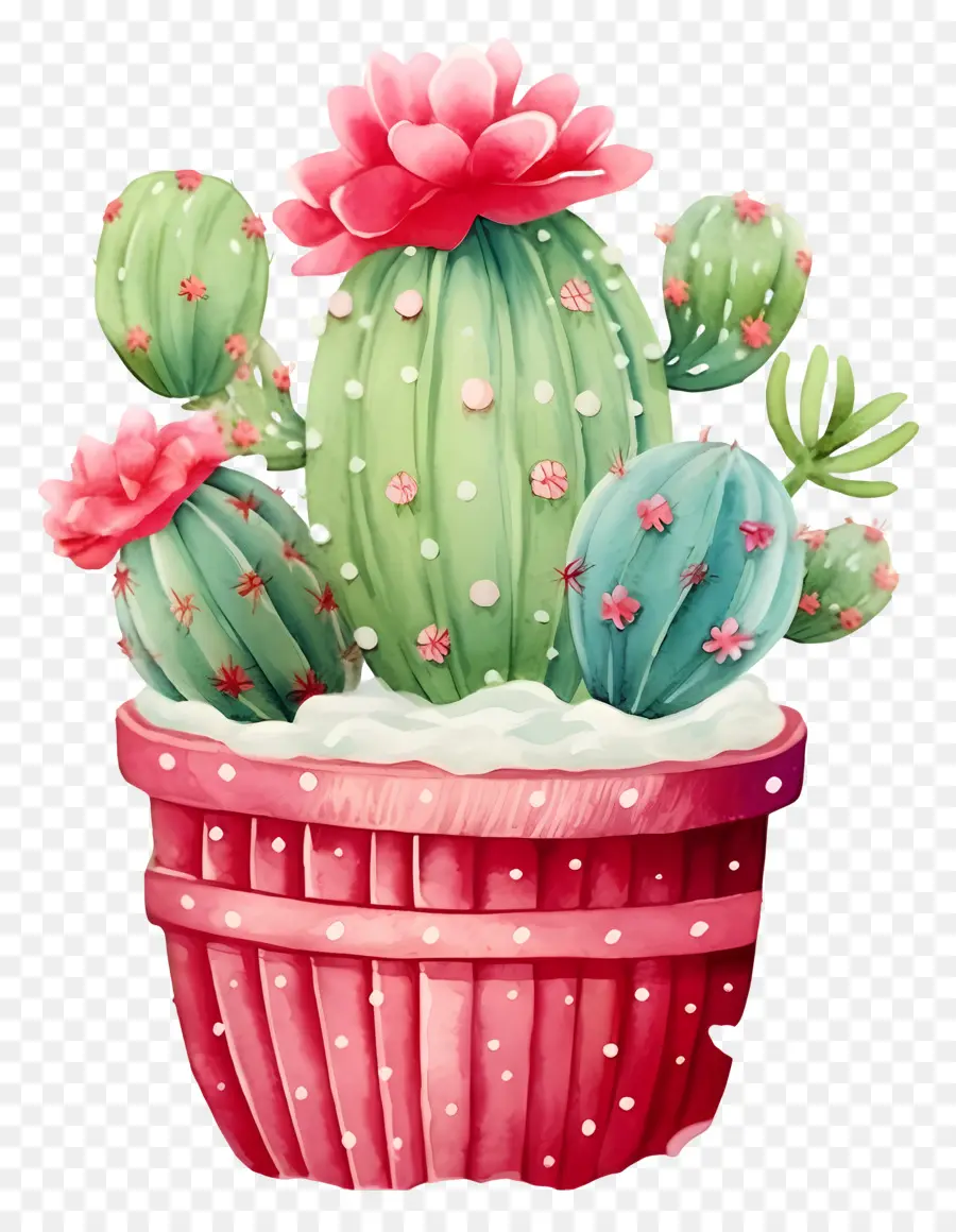 Cactus，Dibujo A Lápiz De Color PNG