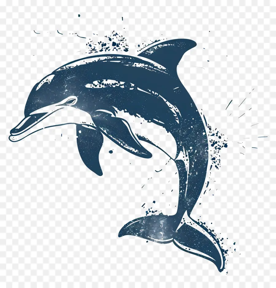 Los Delfines De La Silueta，Delfín PNG