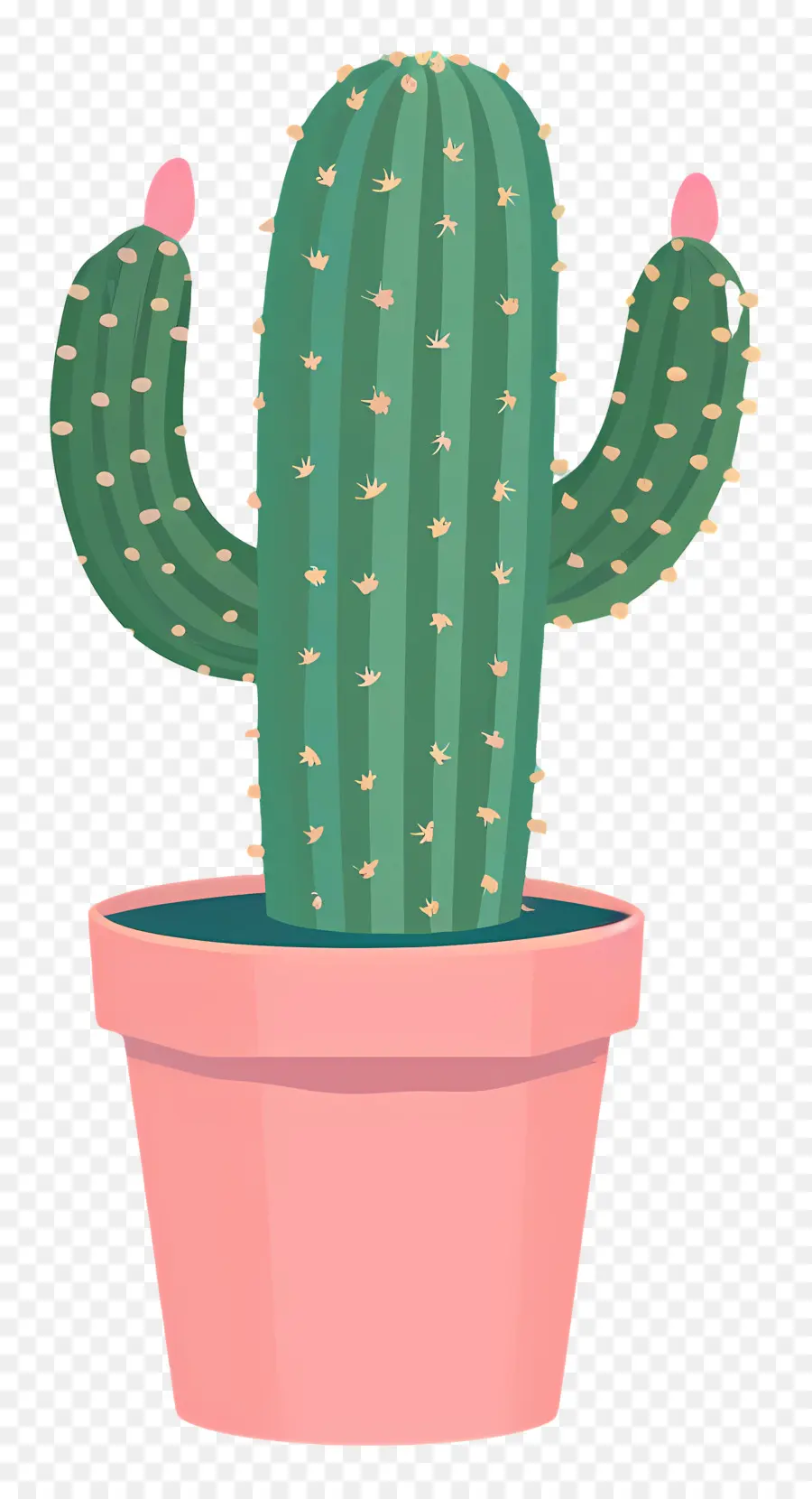 Cactus，Planta En Maceta PNG